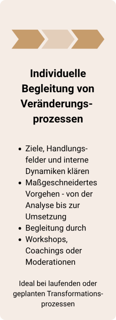 Grafik mit Pfeilen und Text „Individuelle Begleitung von Veränderungsprozessen“ – Change-Beratung und Umsetzung