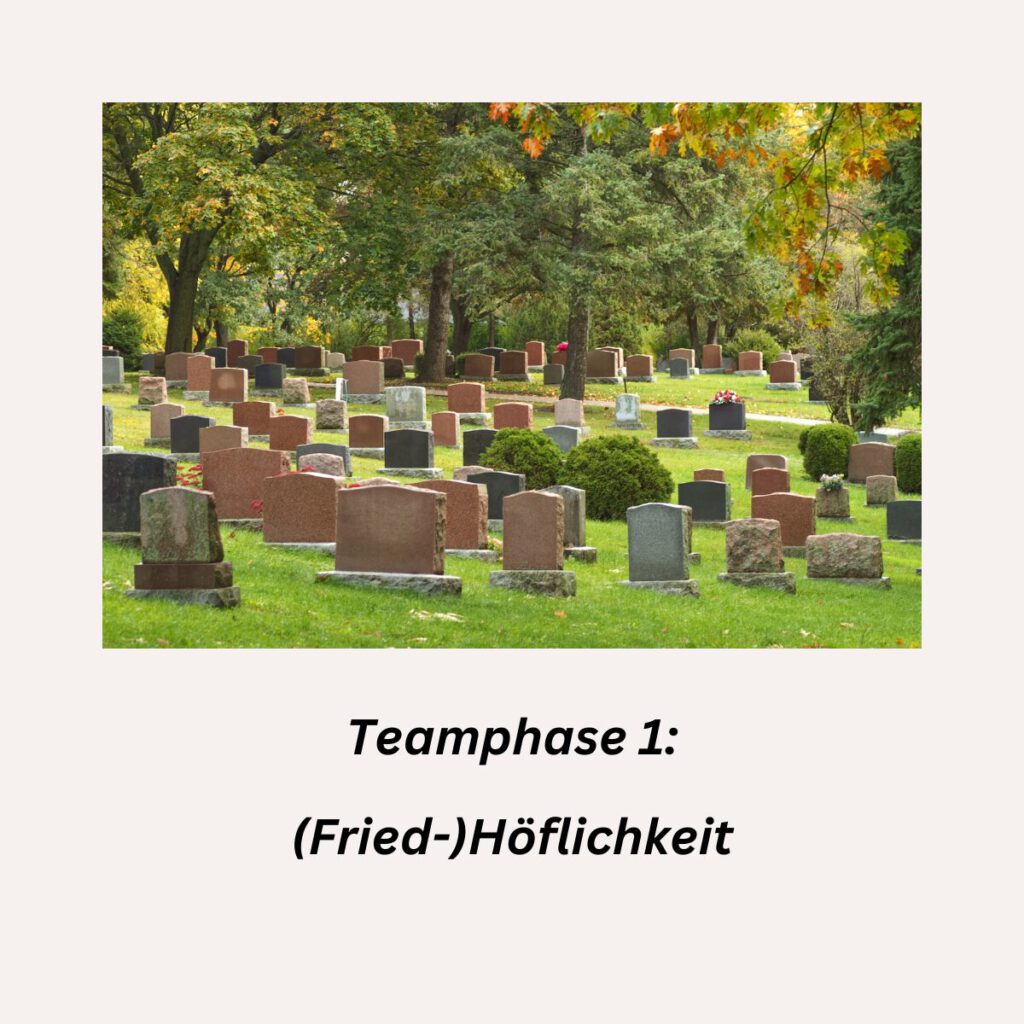 Ein Friedhof mit vielen Grabsteinen, Bäumen und gepflegtem Rasen – Symbolbild für Zurückhaltung und stille Beobachtung.
