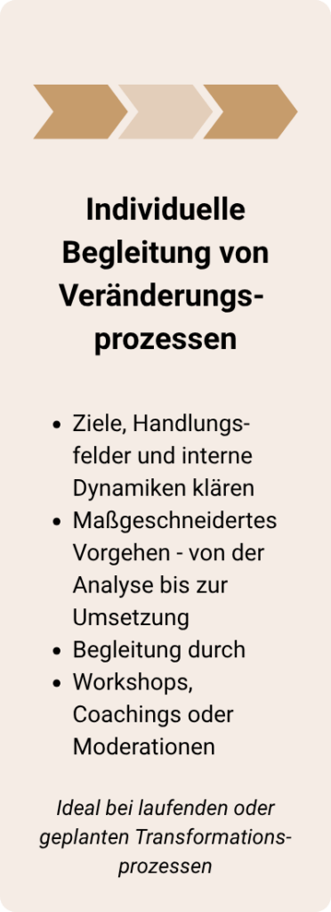 Grafik mit Pfeilen und Text „Individuelle Begleitung von Veränderungsprozessen“ – Change-Beratung und Umsetzung